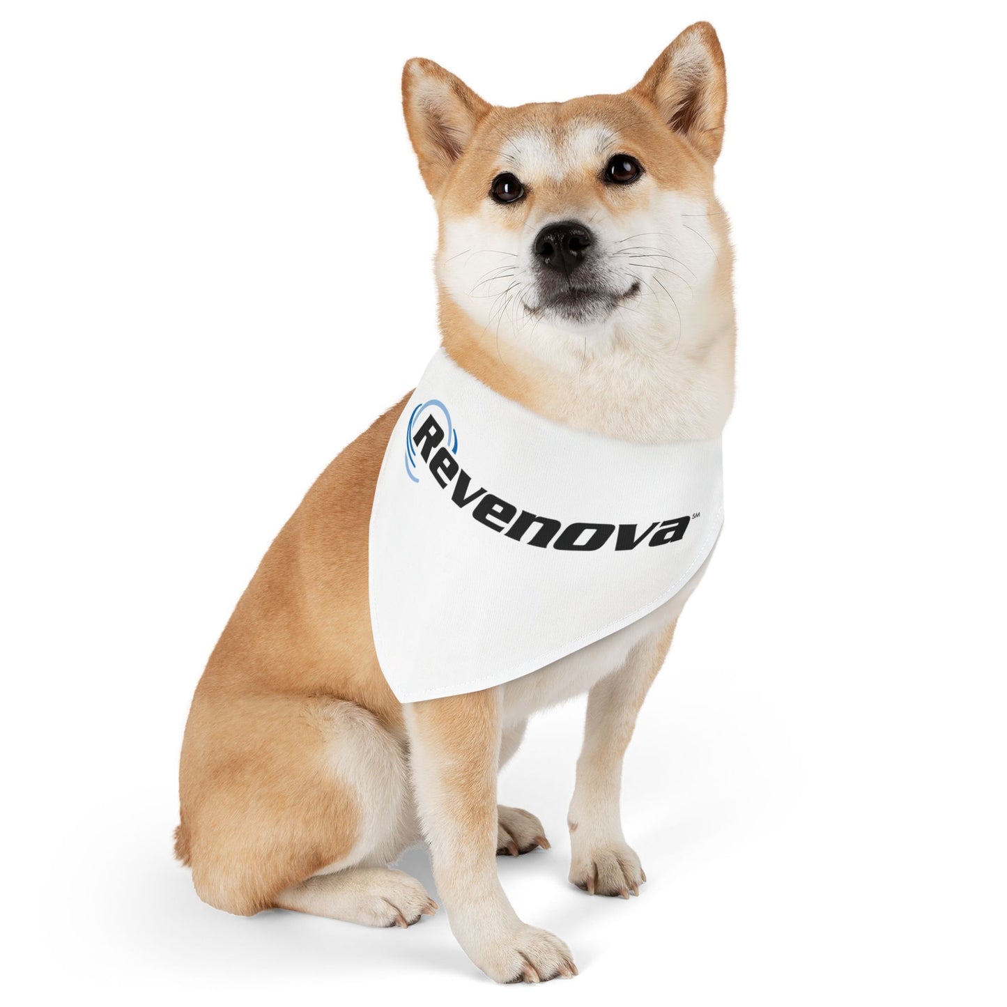 Pet Bandana Collar