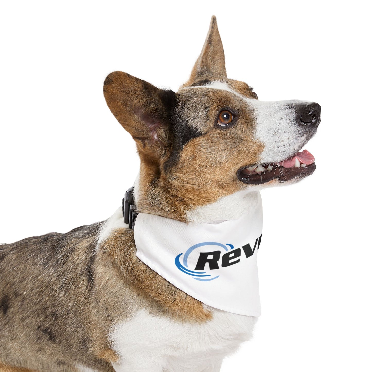 Pet Bandana Collar