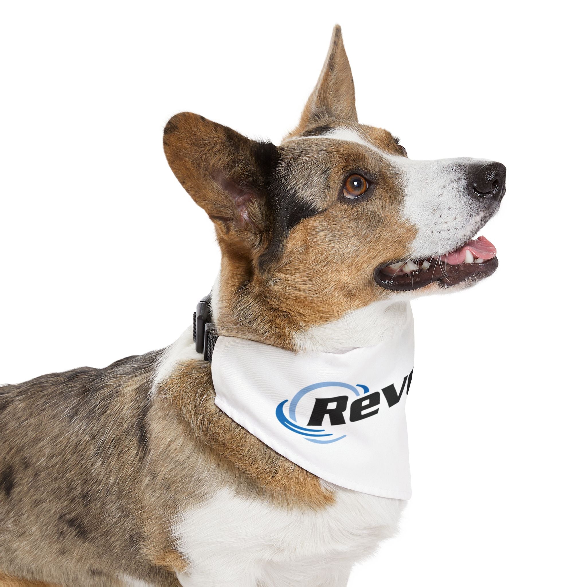 Pet Bandana Collar